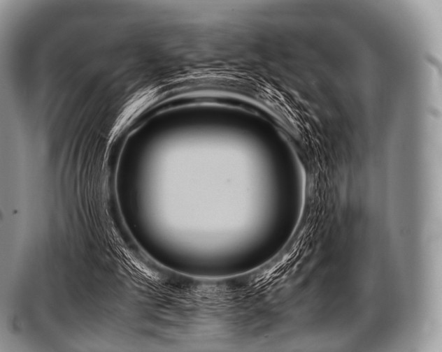 X0000097640101200802291415