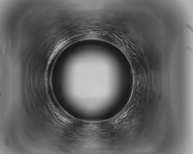 X0000097640102200802291415