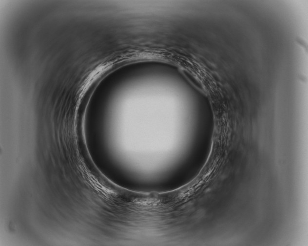 X0000097640104200802291414