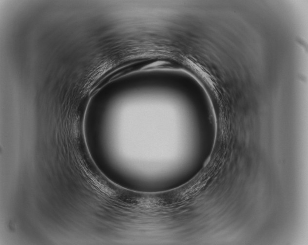 X0000097640105200802291414