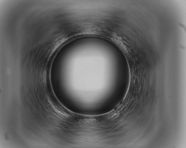 X0000097640108200802291414