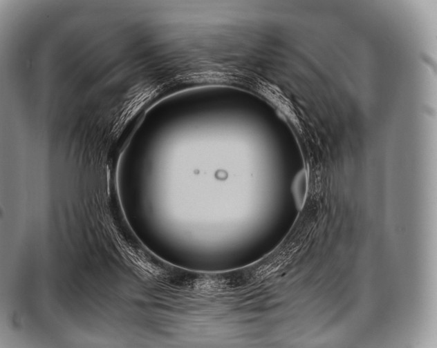 X0000097640109200802291414