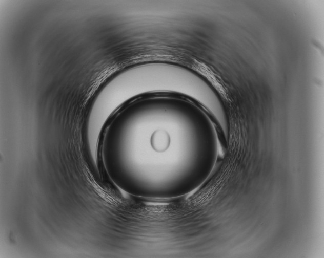 X0000097640110200802291414