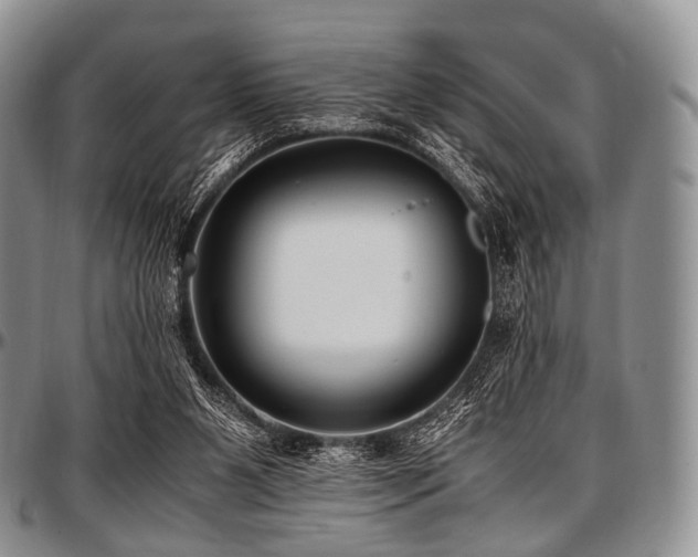 X0000097640111200802291414