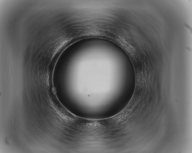 X0000097640112200802291414