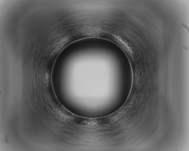 X0000097640113200802291414