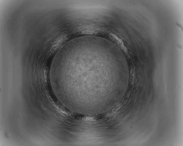 X0000097640114200802291414