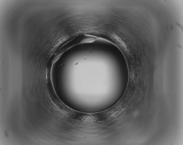 X0000097640115200802291414