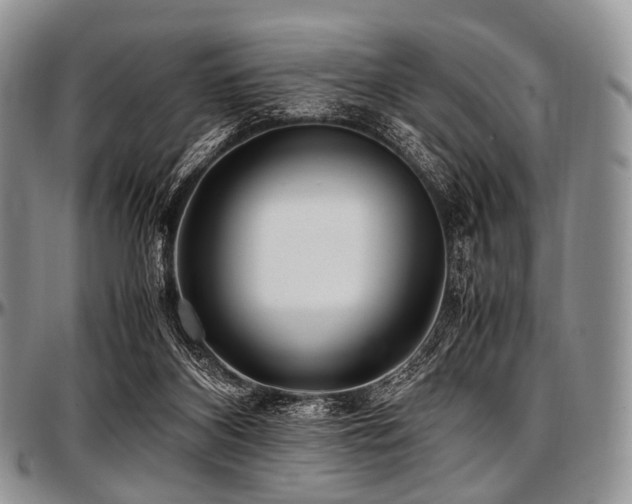 X0000097640116200802291414