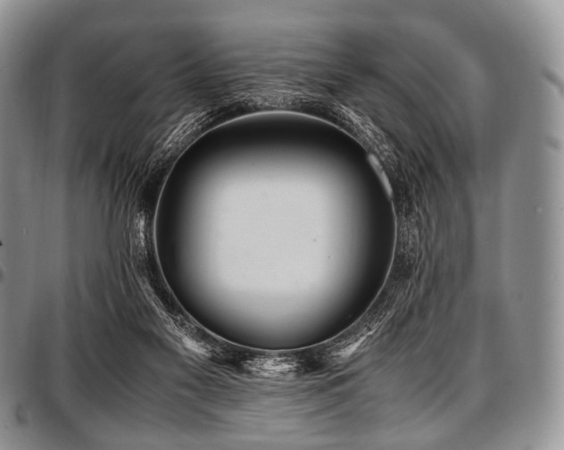 X0000097640117200802291414