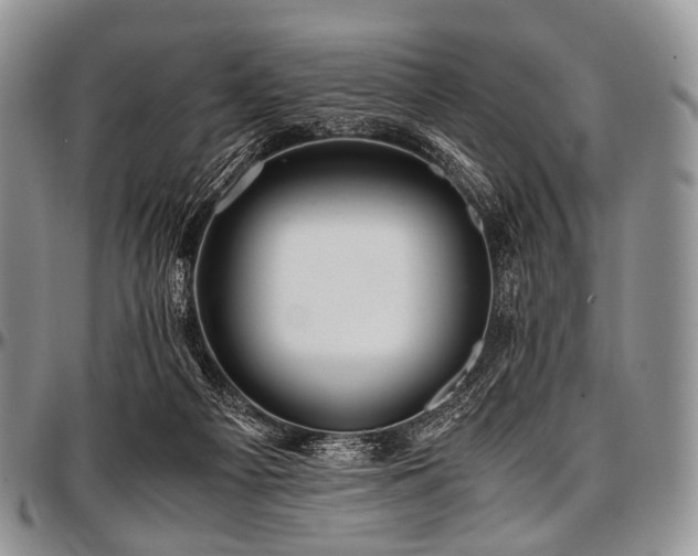 X0000097640121200802291414