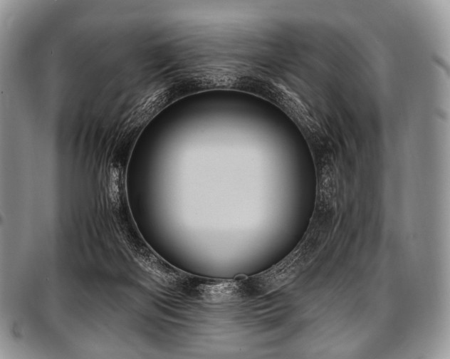 X0000097640122200802291414