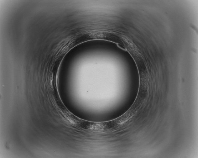 X0000097640125200802291414