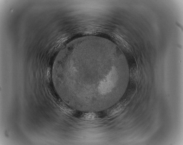 X0000097640127200802291414