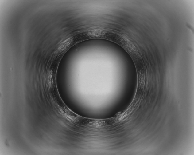 X0000097640128200802291414