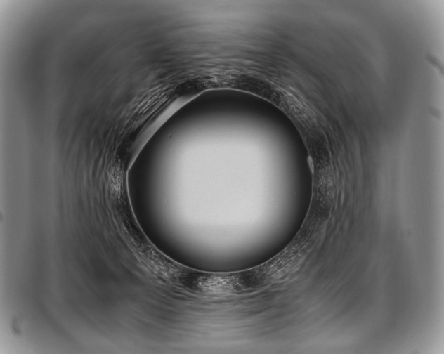 X0000097640129200802291414