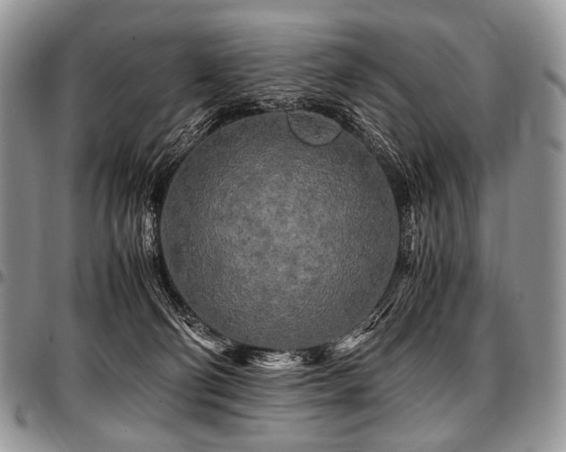 X0000097640130200802291414