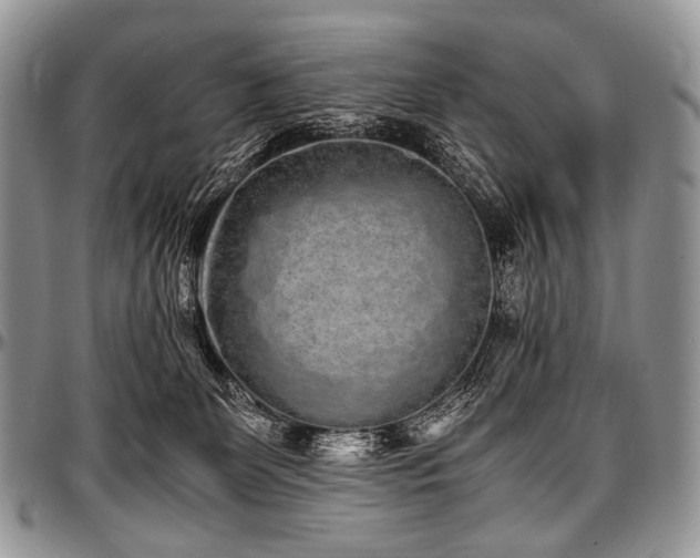 X0000097640131200802291414