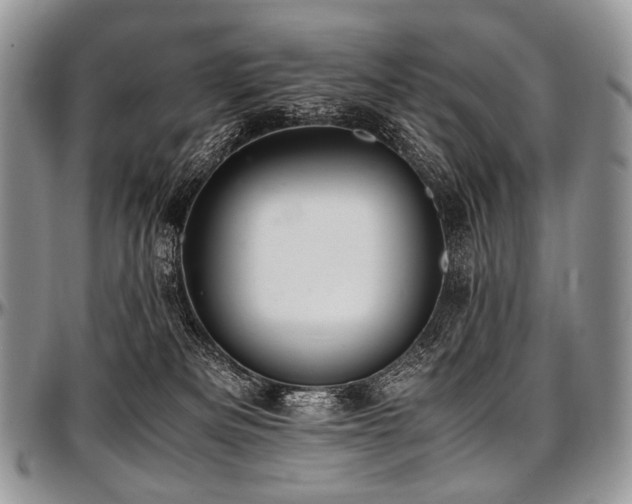 X0000097640133200802291414