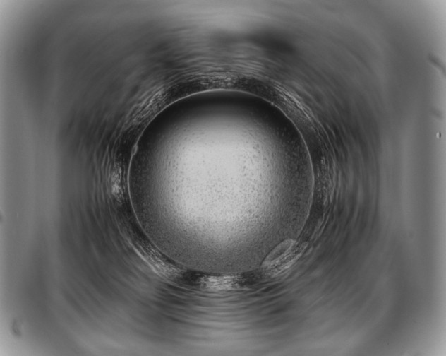 X0000097640134200802291414