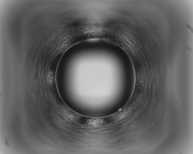 X0000097640135200802291414