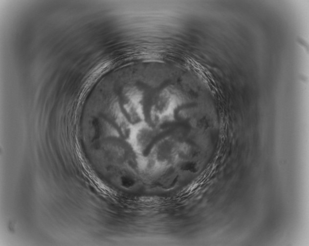 X0000097640145200802291413