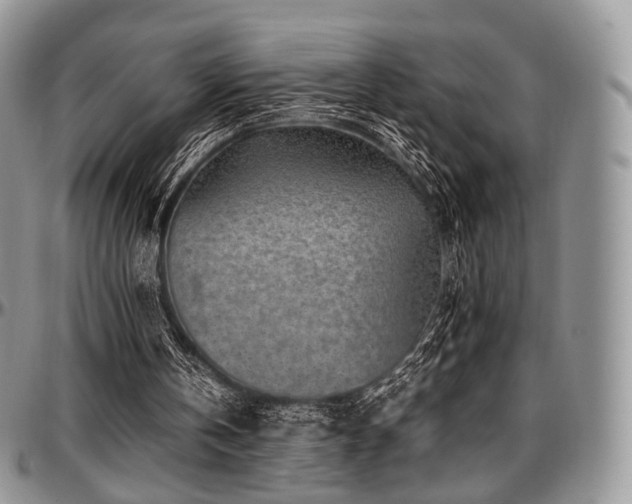 X0000097640146200802291413