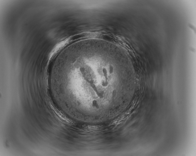 X0000097640149200802291413