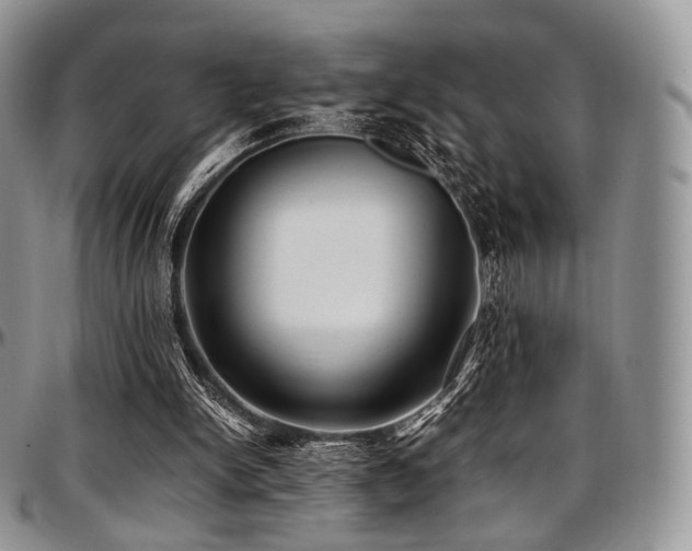 X0000097640150200802291413