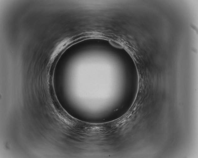 X0000097640151200802291413