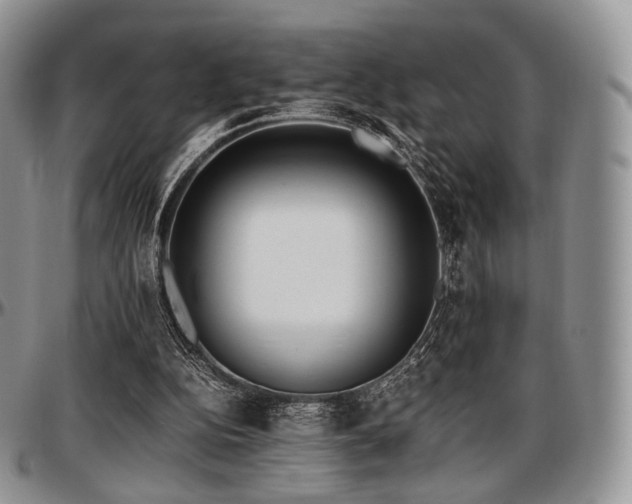 X0000097640152200802291413