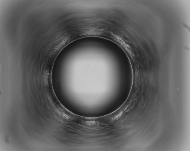 X0000097640153200802291413