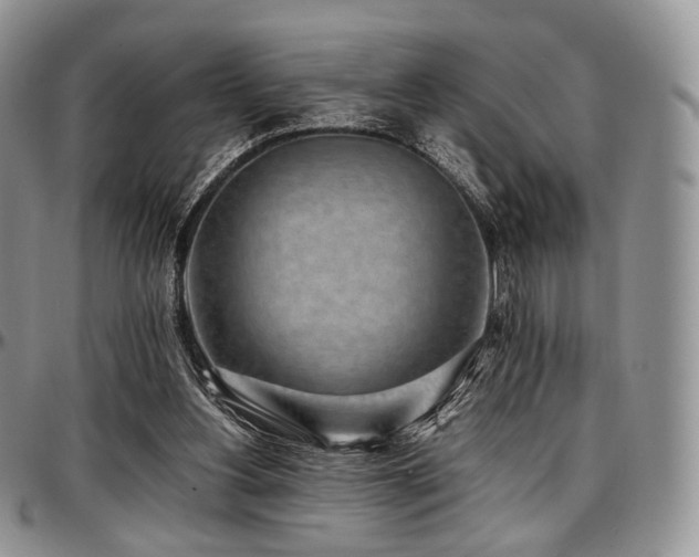 X0000097640156200802291413