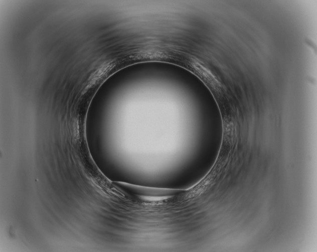 X0000097640158200802291413