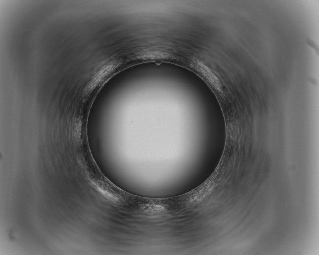 X0000097640159200802291413