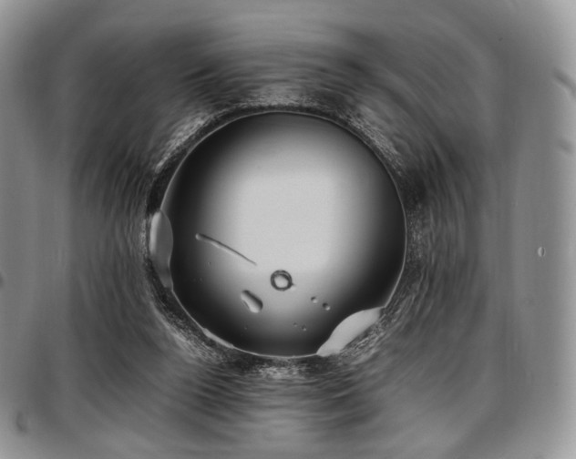 X0000097640160200802291413