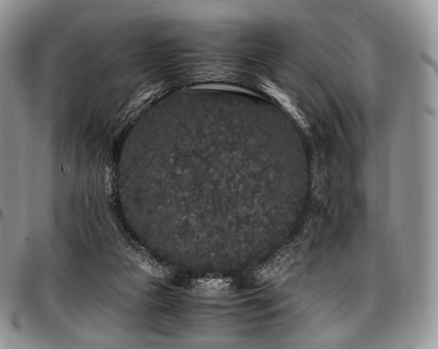 X0000097640161200802291413