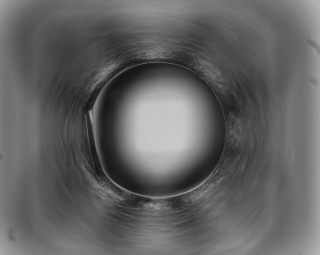 X0000097640164200802291413