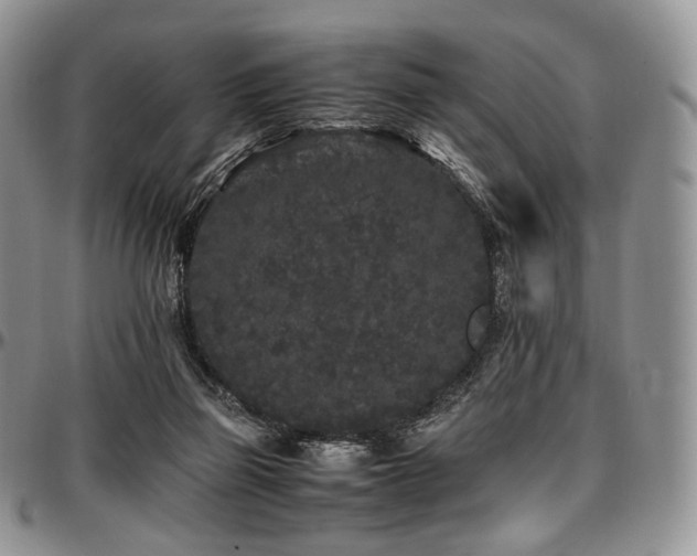 X0000097640165200802291413