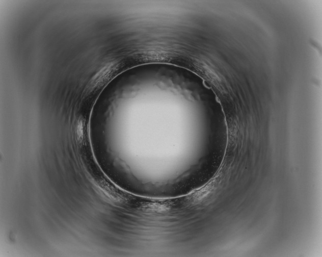 X0000097640166200802291413