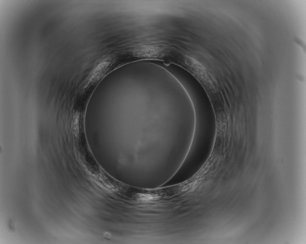 X0000097640167200802291413