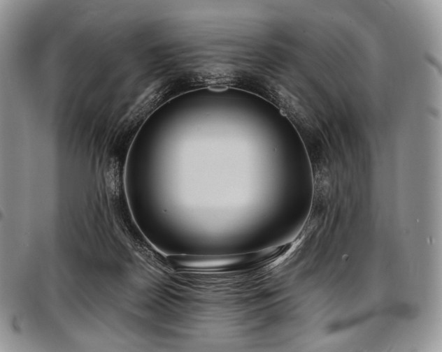 X0000097640170200802291413