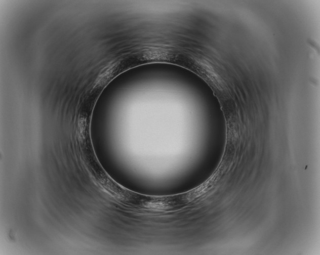 X0000097640171200802291413