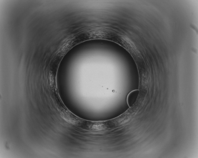 X0000097640173200802291413