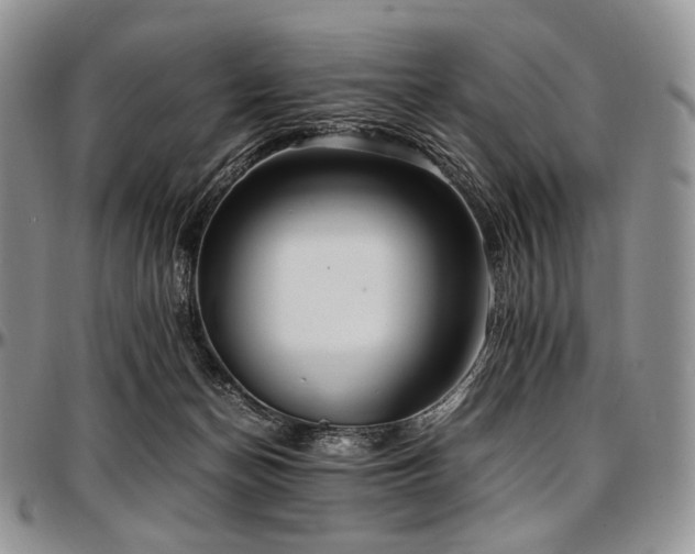 X0000097640174200802291413