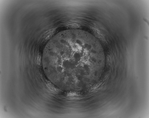 X0000097640177200802291414