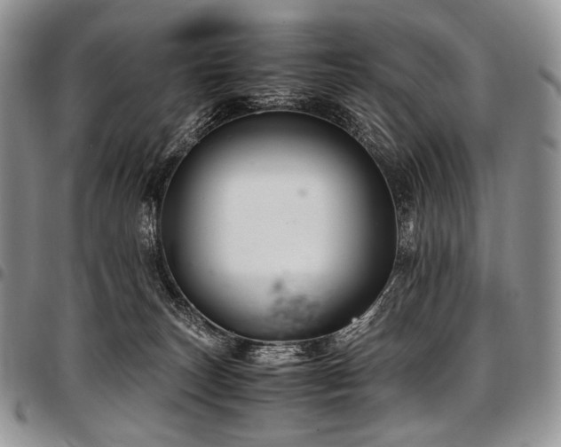 X0000097640179200802291414