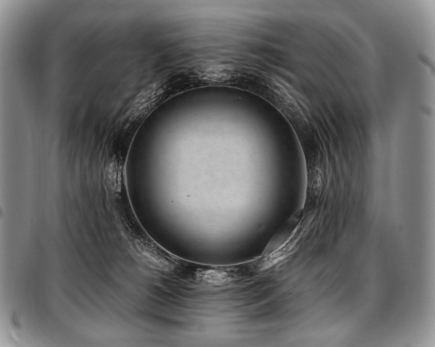 X0000097640180200802291414