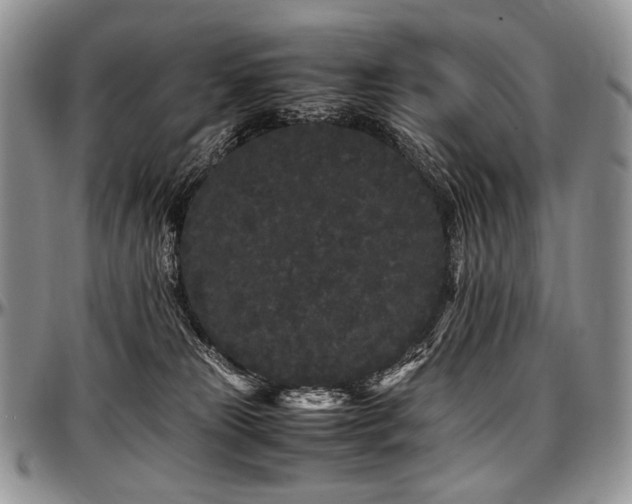 X0000097640181200802291414