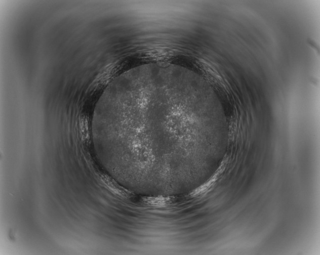 X0000097640182200802291414